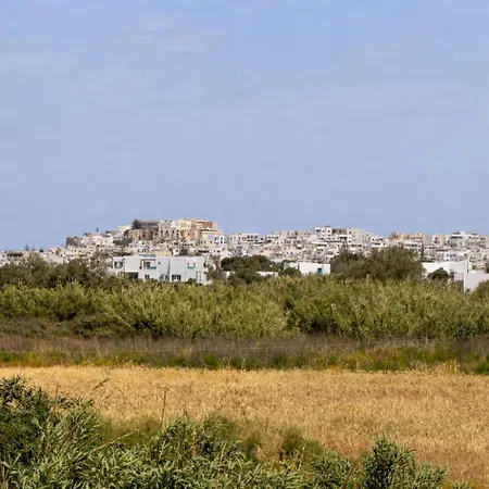 Willa Isalos With Private Pool Naxos City