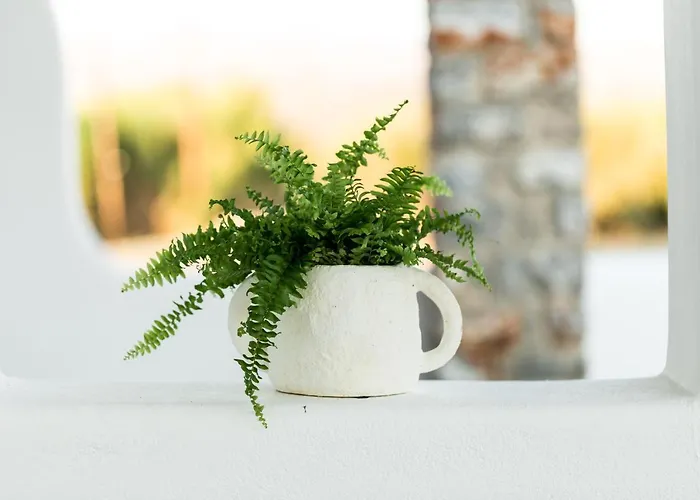 Isalos With Private Pool Βίλα Naxos City