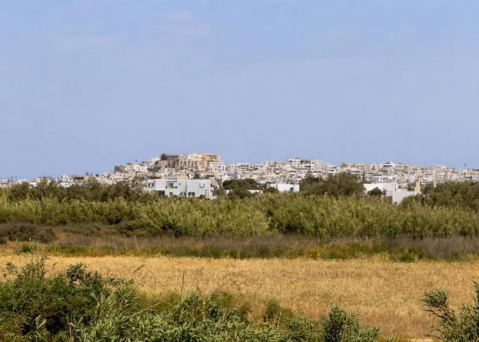Villa Isalos With Private Pool Naxos City
